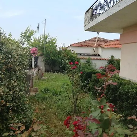 Nansy's House